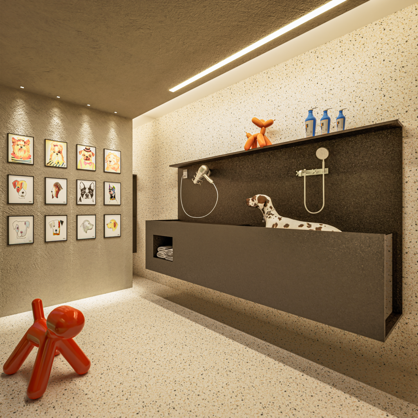 Pet Wash